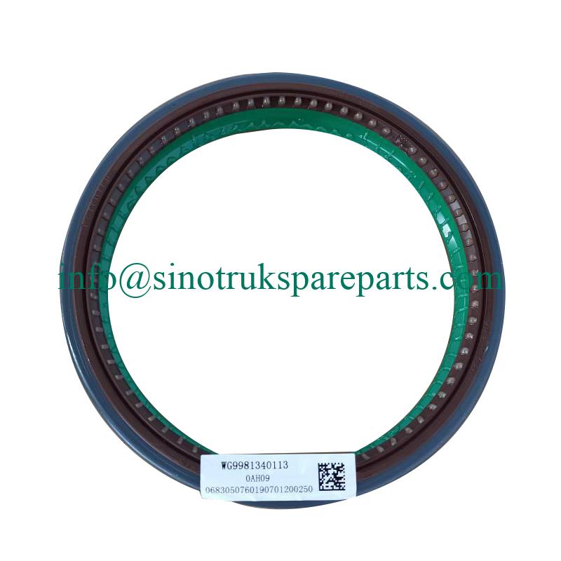 Sinotruk,HOWO Parts–Hub Bearing Oil Seal, WG9970340113