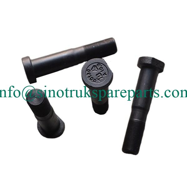 SINOTRUK SPARE PARTS WG9003884160 Wheel Bolt and Nut