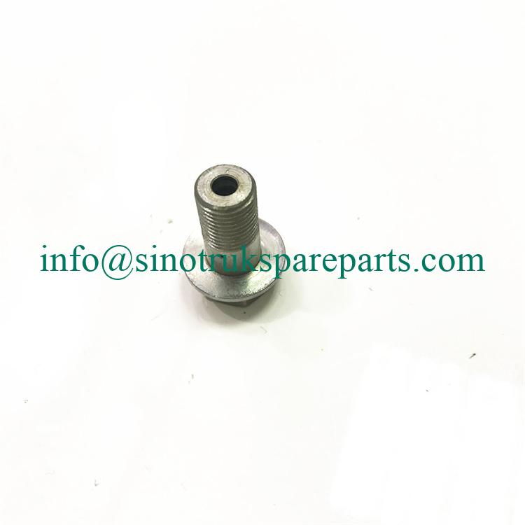 SINOTRUK HOWO Truck Spare Parts Hollow Screw CW095438-0190