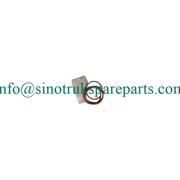 sinotruk engine parts VG1246070010 O-shaped sealing ring