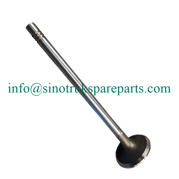 Vg1096050014 Shacman Sinotruk HOWO Weichai Engine Exhaust Valve