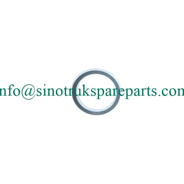 Sinotruk Howo Conical Sealing Gasket WG9925540162